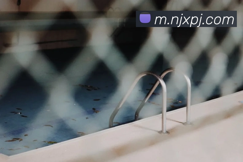 新葡京娱乐服务体系