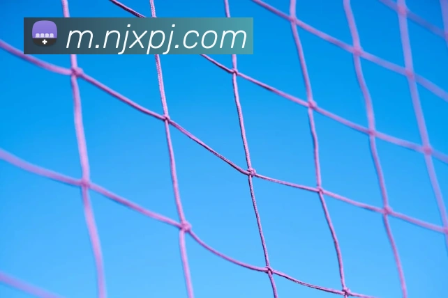 新葡京娱乐APP 体育赛事宣传图